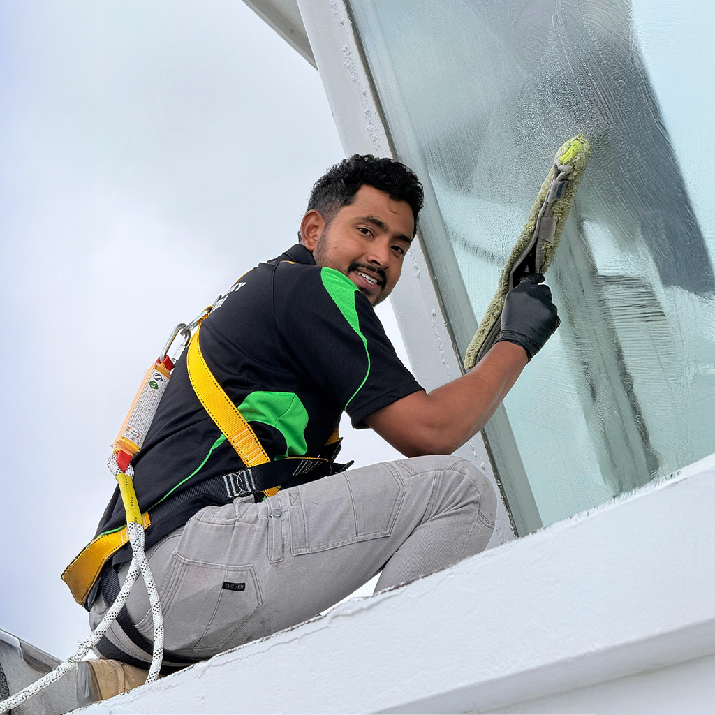 Window Cleaning Services