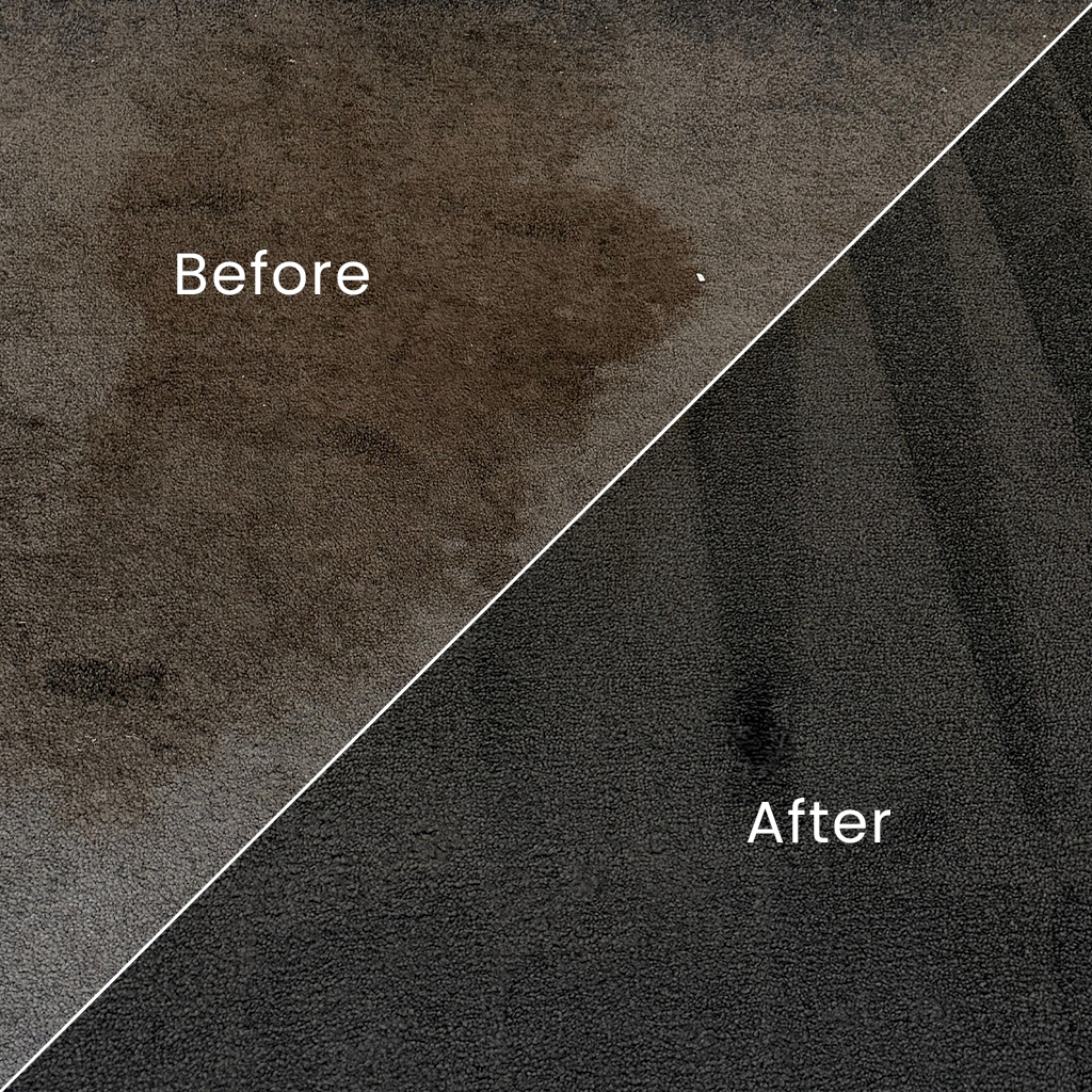 Professional Carpet & Upholstery Cleaning