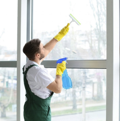 Window Cleaning Services